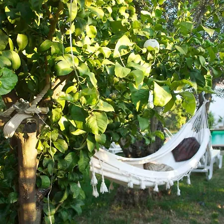 Charming 4-bed In With Private Pool * Melegis